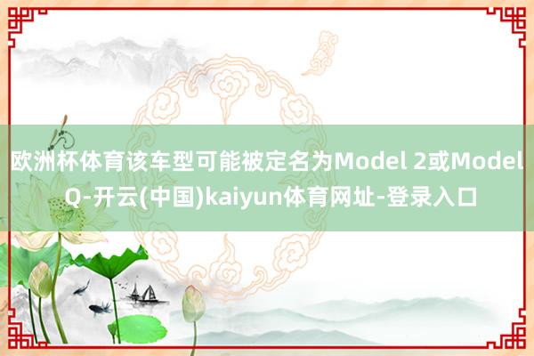 欧洲杯体育该车型可能被定名为Model 2或Model Q-开云(中国)kaiyun体育网址-登录入口