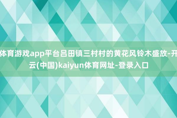 体育游戏app平台吕田镇三村村的黄花风铃木盛放-开云(中国)kaiyun体育网址-登录入口